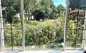 Hilton Garden Studio